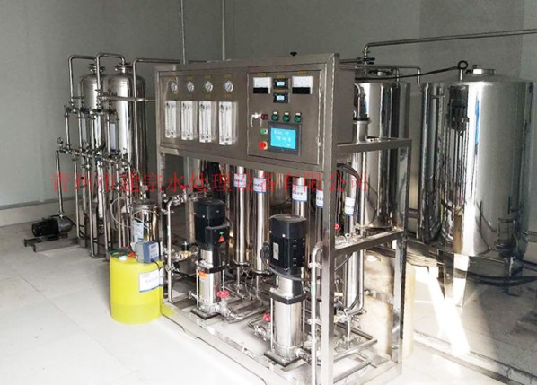 0.5 ton stainless steel double reverse osmosis equipment